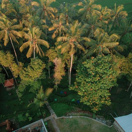 Bali Made Escape Hotel Payangan Buitenkant foto
