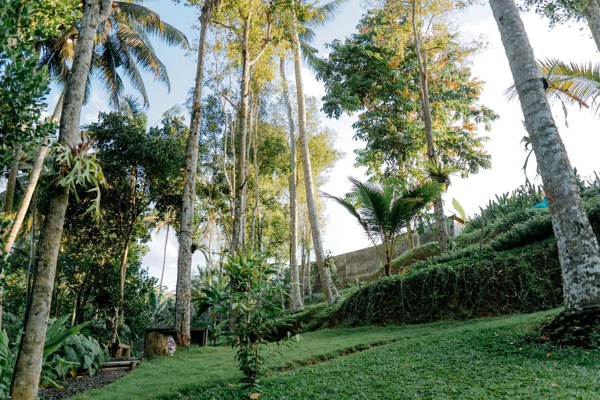 Bali Made Escape Hotel Payangan Buitenkant foto